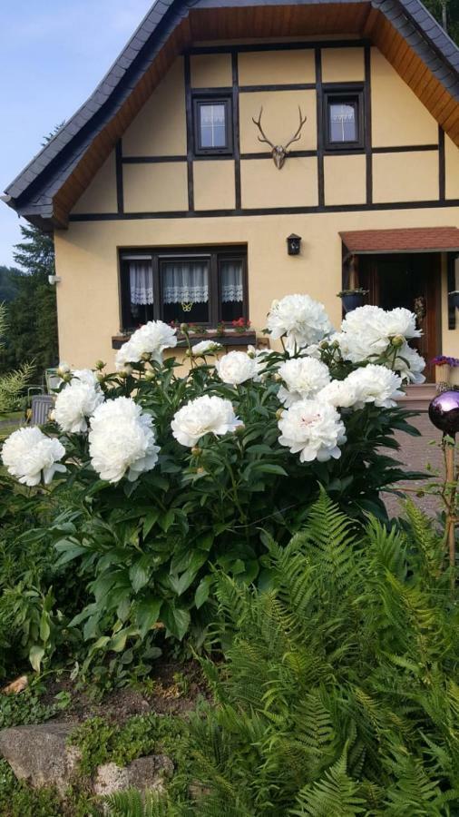 Stolberg i. Harz Birkenhain מראה חיצוני תמונה