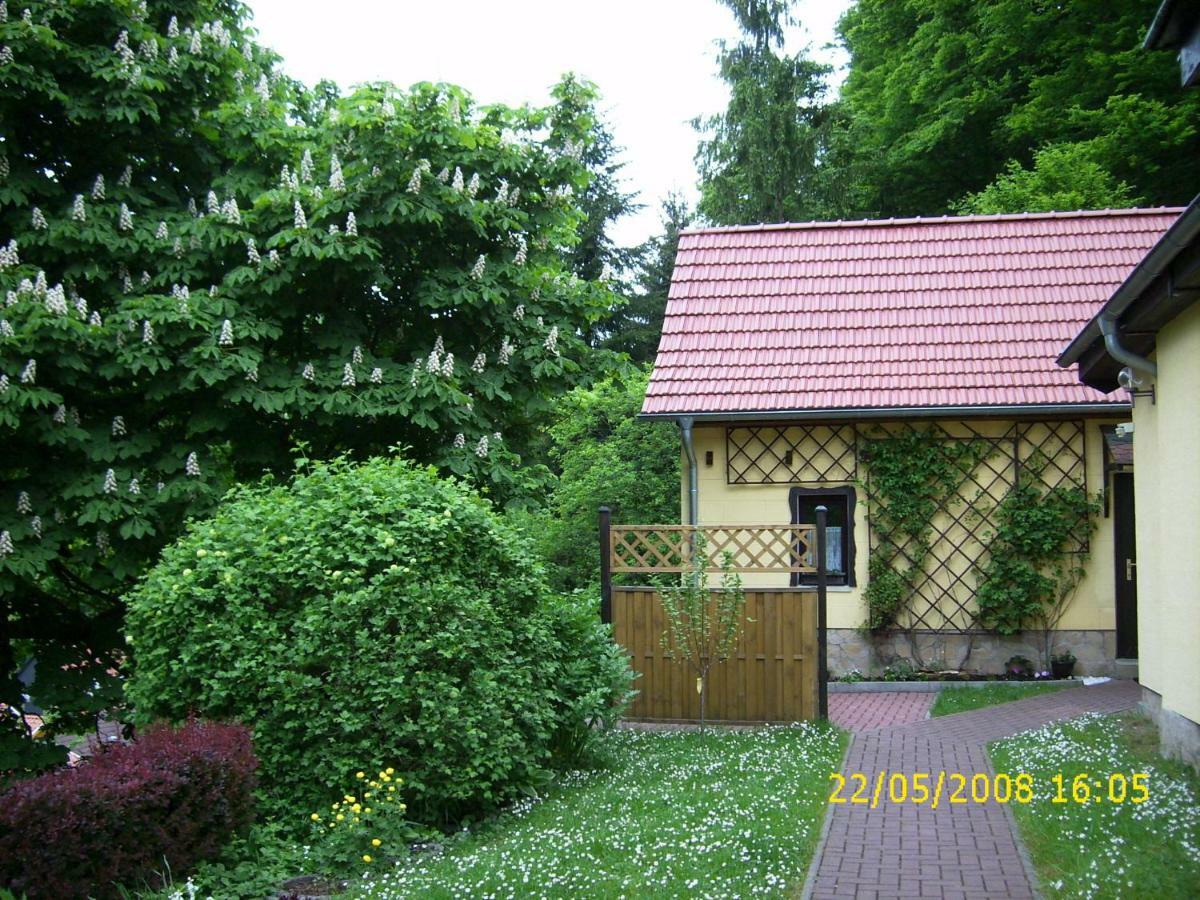 Stolberg i. Harz Birkenhain מראה חיצוני תמונה